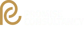 promise consultancy